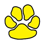 Sonora Jr. Cats
